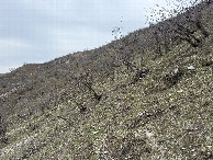 #2: View to the South 