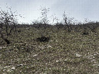 #3: View to the West