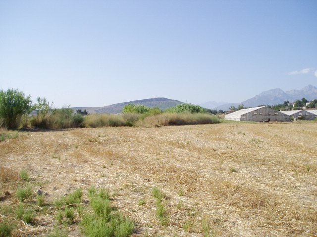 General view, looking north towards Yanköy