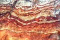 #5: The features on the rock