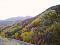 #7: Indian Summer in Northern Turkey next to 40N 38E