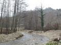 #9: Small river around the intersection point