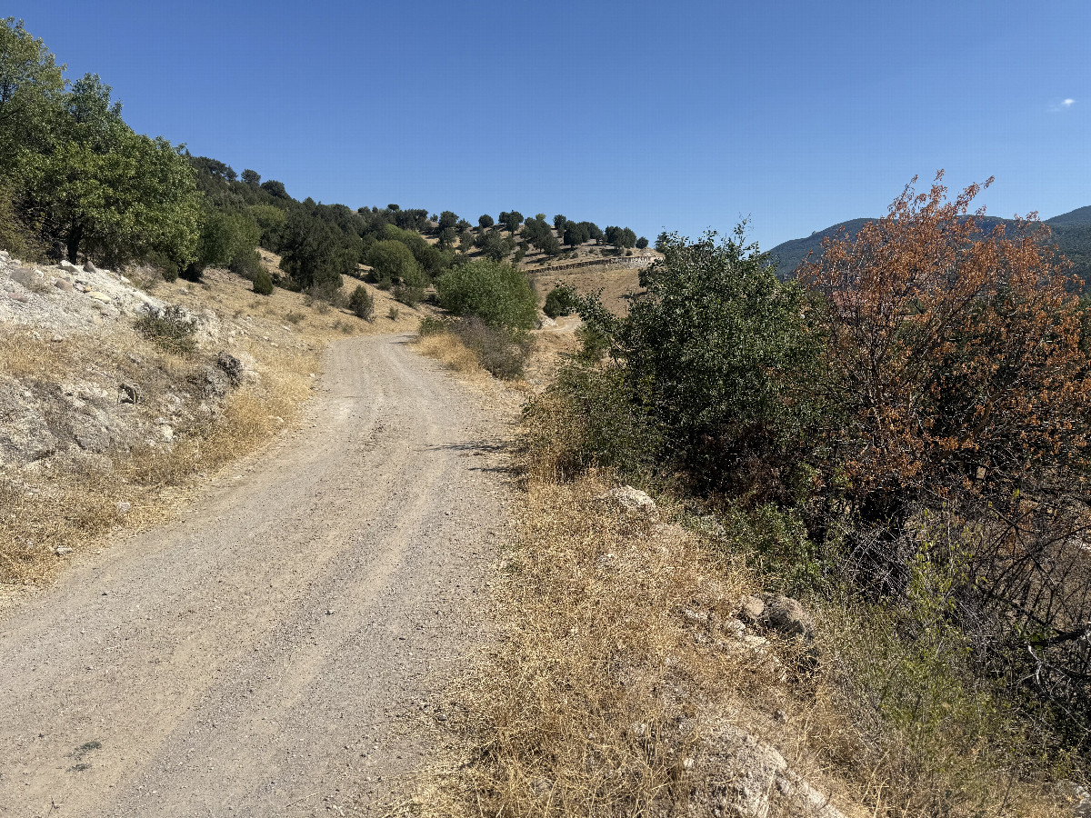 View to the East