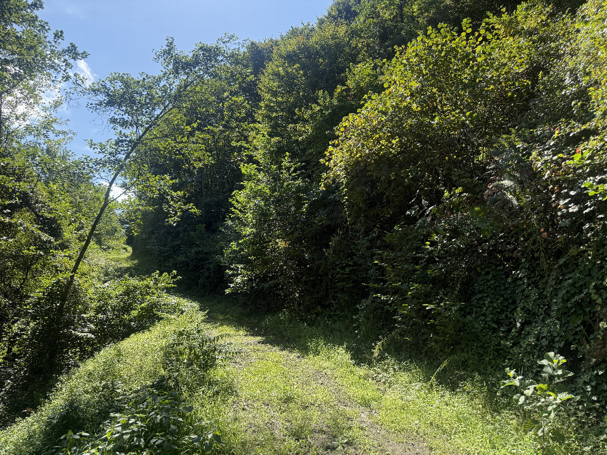 The confluence point