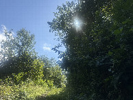 #2: View to the south 
