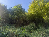 #3: View to the West
