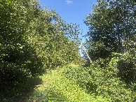 #4: View to the North 