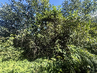 #5: View to the East
