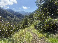 #9: General View