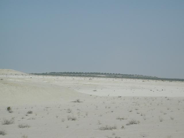 Greening the desert (view to the NE)