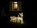 #7: Christmas Decoration in a nearby Yard
