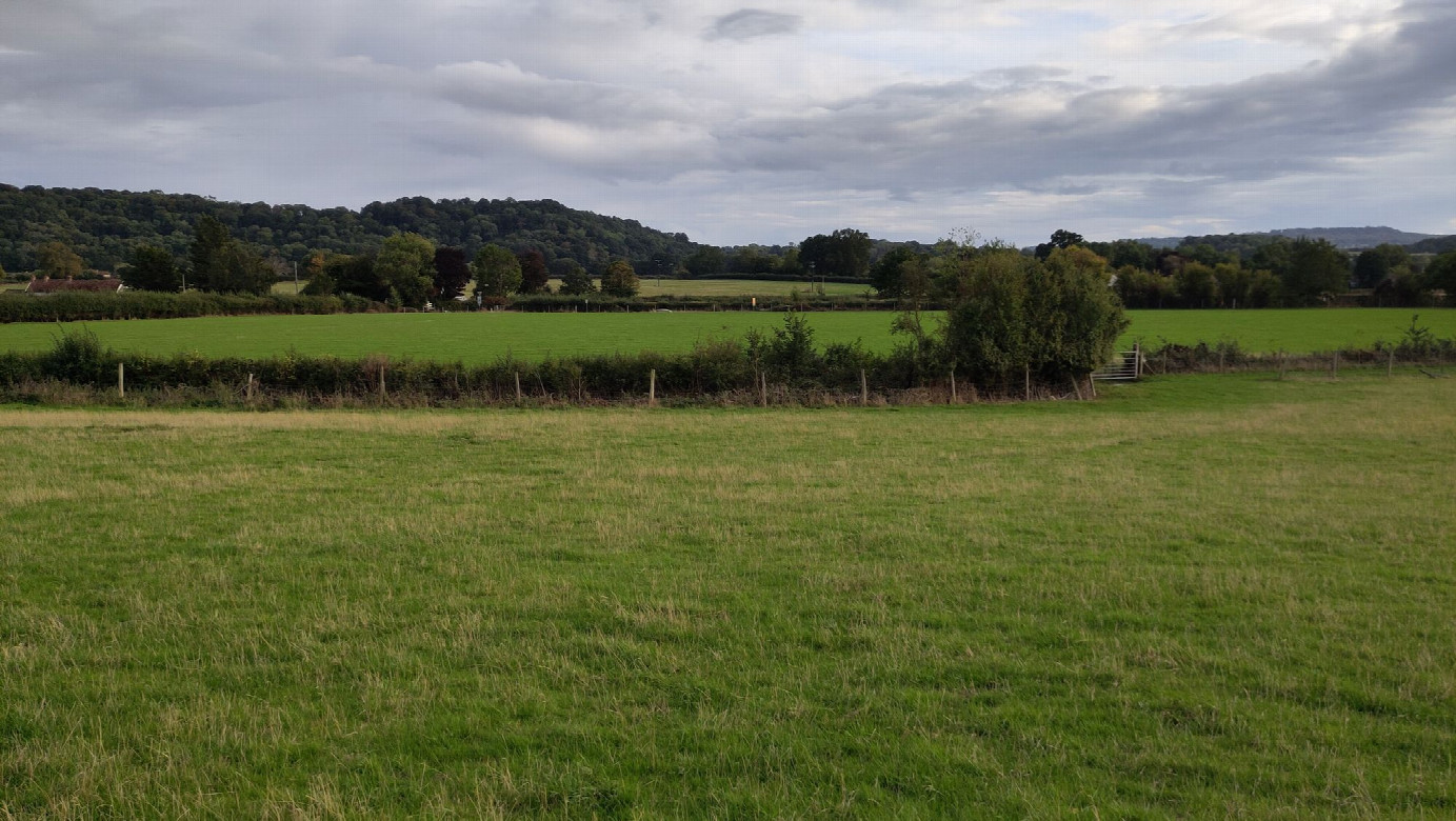 view to the south
