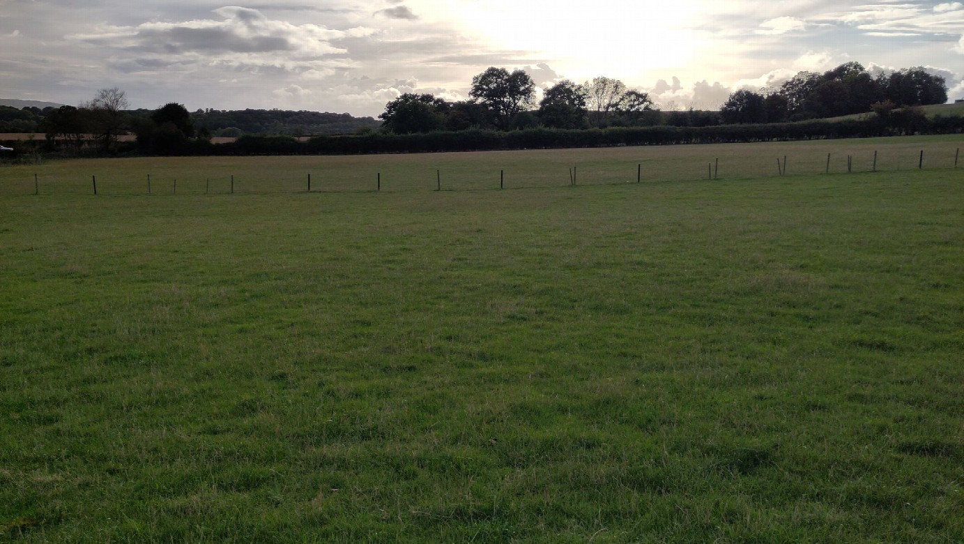 view to the west
