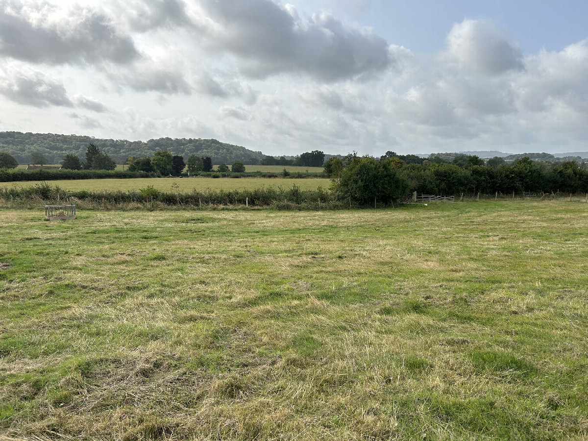 View to the south from the confluence point. 