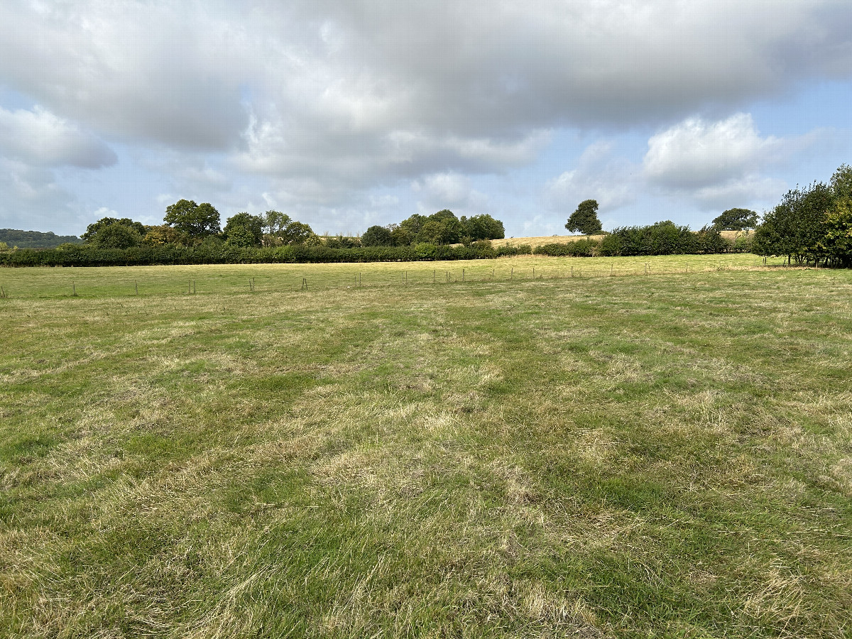 View to the west from the confluence point. 