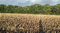 #3: view to the east