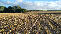 #4: view to the south