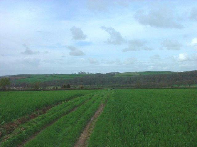 View north - our car is visible at the entrance to the field