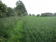 #5: beside field on way to CP