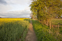#7: Looking back along the footpath