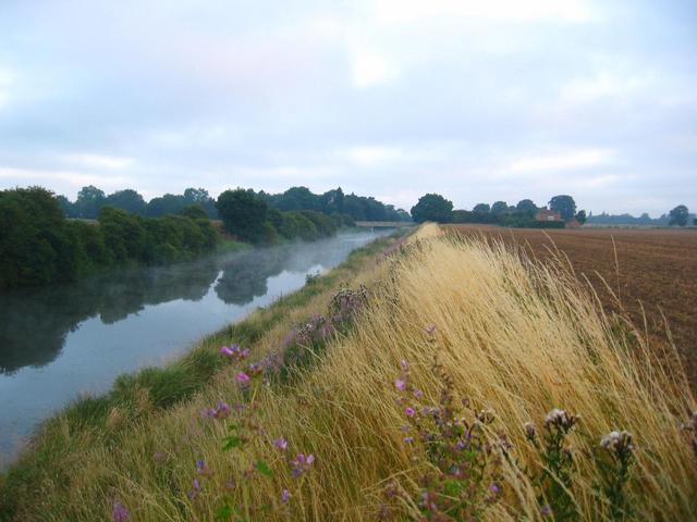 The Nearby Drainage Channel