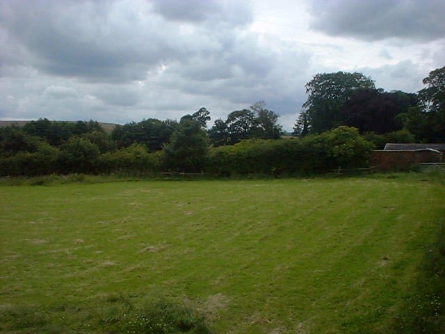 Looking W from the farm