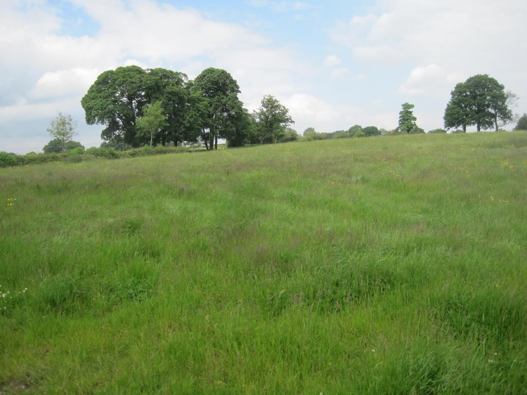 Norden; view north