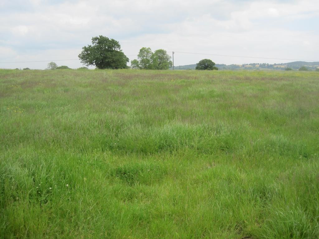 Osten; view east