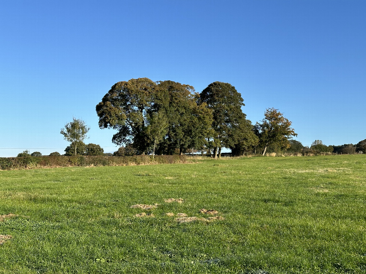 View to the North