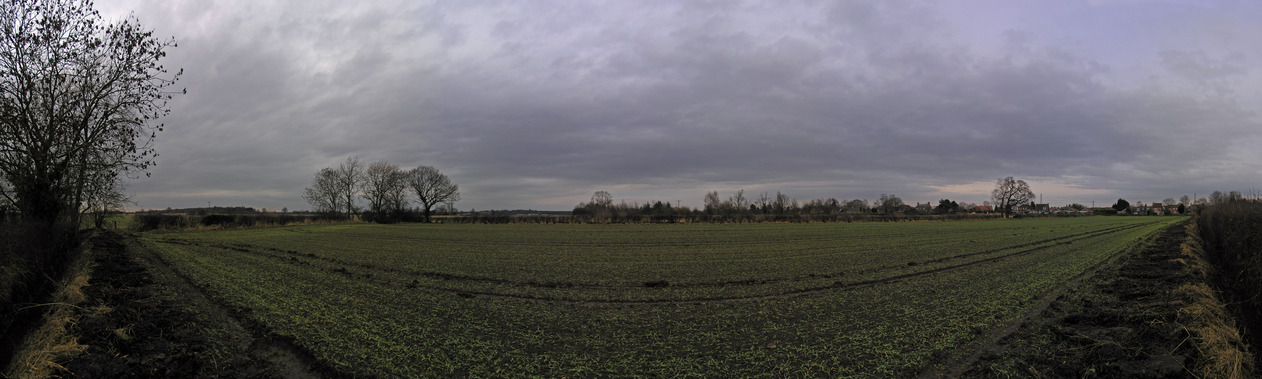 180-degree panorama from the edge of the field