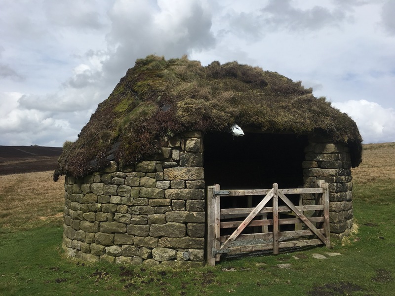 Hut in the Barden Moorland