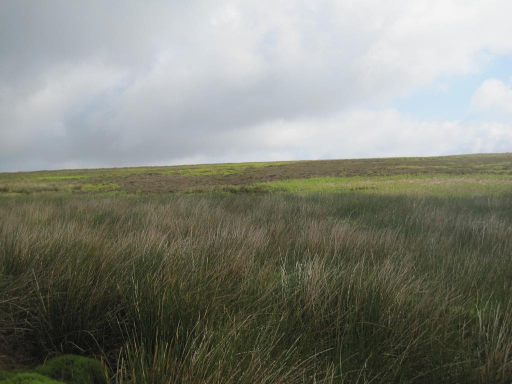 Norden; view north