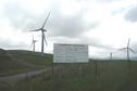 #4: Wind Farm