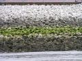 #4: different water levels can be seen at the embankments