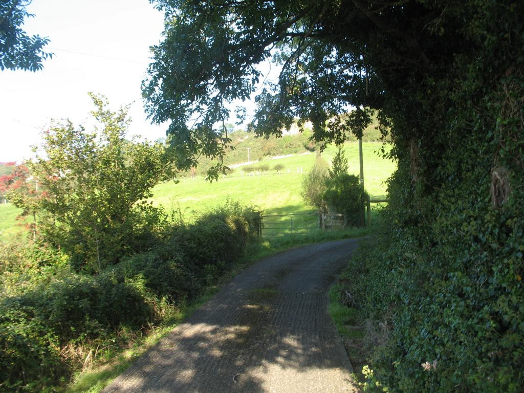 view from junction to enclosure and meadow