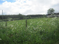 #3: Süden; view south