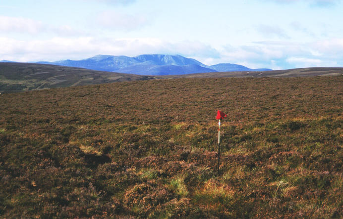 The pole and glove mark the spot. Lochnagar(1151m) in the background.(looking SouthWest)