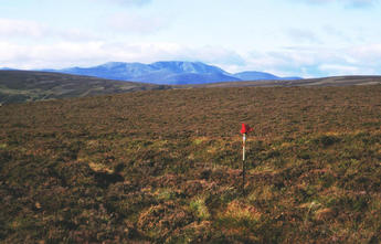 #1: The pole and glove mark the spot. Lochnagar(1151m) in the background.(looking SouthWest)
