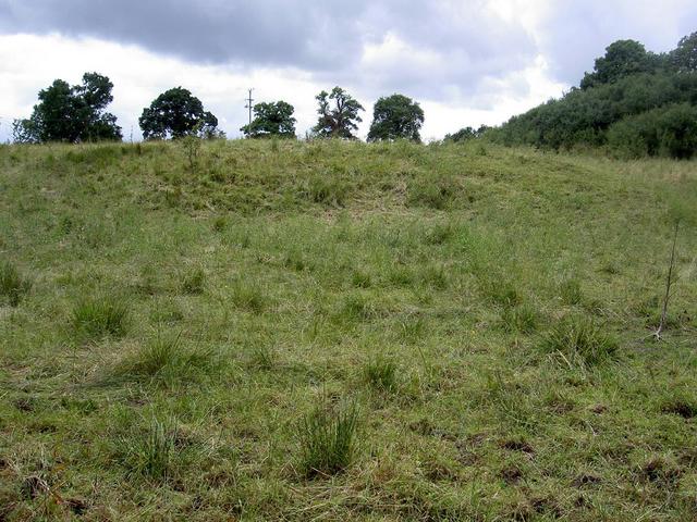 Looking South into the field