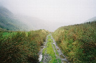 #7: Trackbed