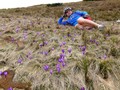 #8: Цветущие крокусы на горной долине / Blooming crocuses in mountain valley