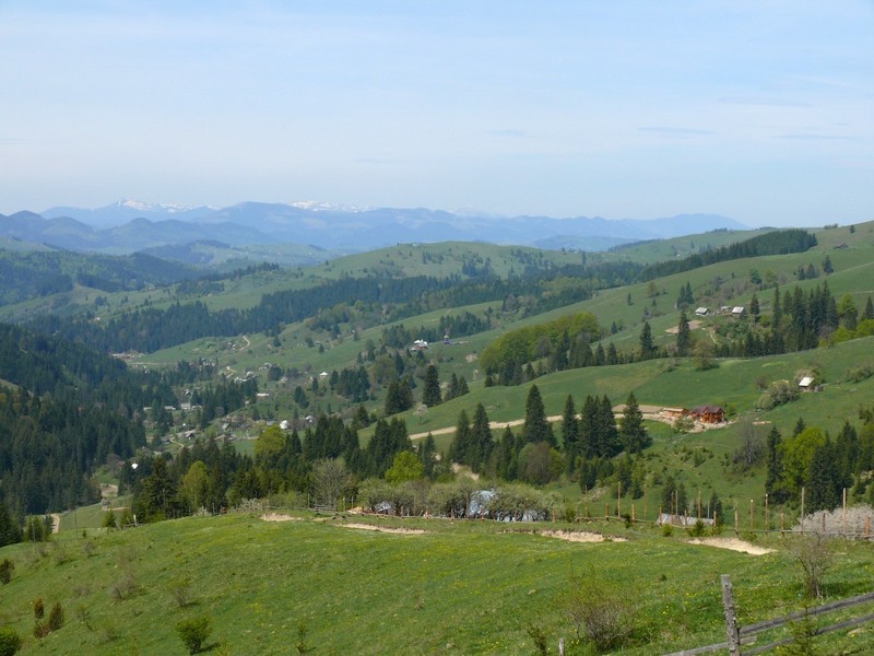 Карпатский пейзаж / Carpathian landscape