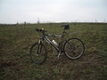 #7: My bicycle at point