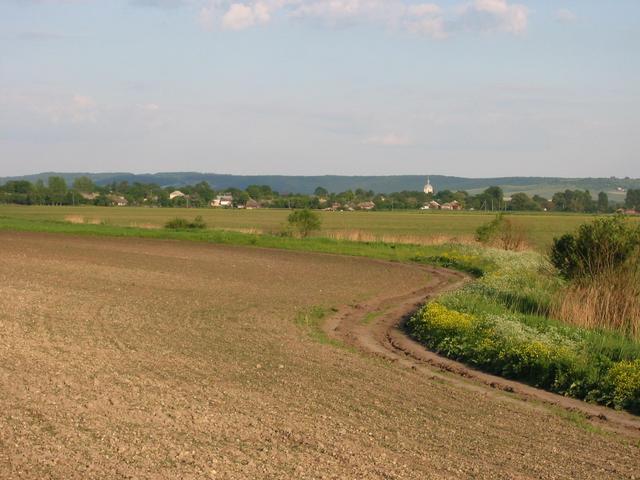 View to the East