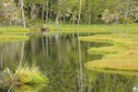 #8: beautiful pond near confluence site