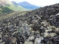 #10: Field of rocks near the Confluence