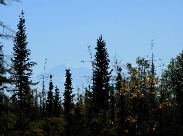 View to the south with Denali in the background.