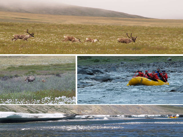 The rest of the trip:  Caribou Pass, mother moose and calves, a hint of Class III rapids, and paddling through the aufeis.
