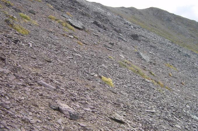 Looking East, Along the Scree Slope