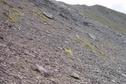 #2: Looking East, Along the Scree Slope